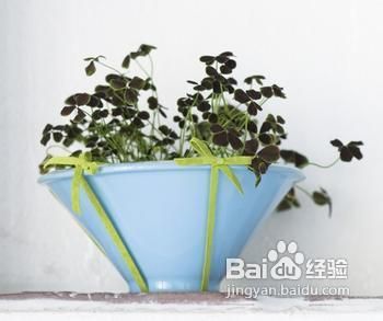 营销中的品牌形象策划(图6)